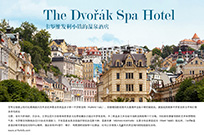 THE DVORAK SPA HOTEL