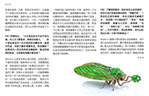 菁华专访：陈世英 Wallace Chan