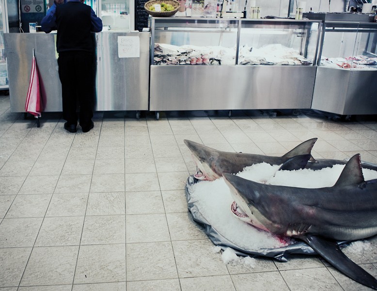 创意日志  Julian Wolkenstein创意摄影