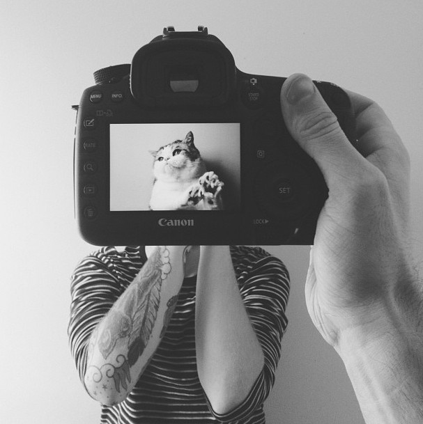 创意日志  宠物二十四个比利