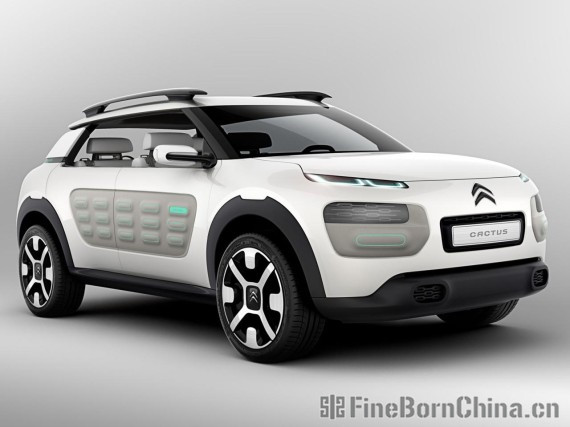 法式创意 豪车Cactus Concept