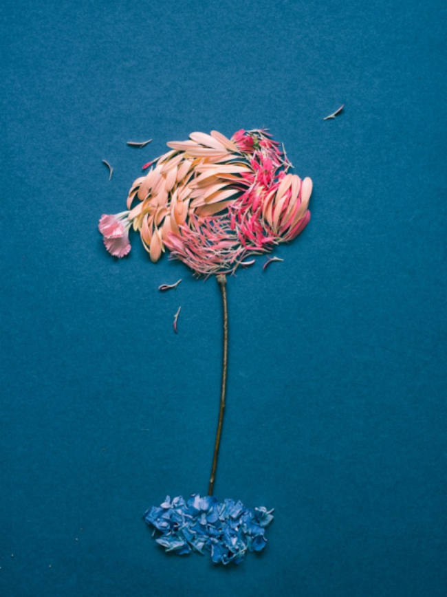 花瓣艺术