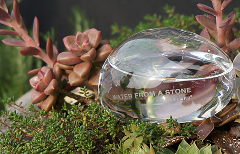 植物浇水新方式 透明石头浇水器