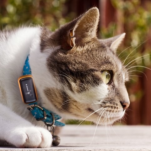 G-PAWS GPS宠物跟踪器