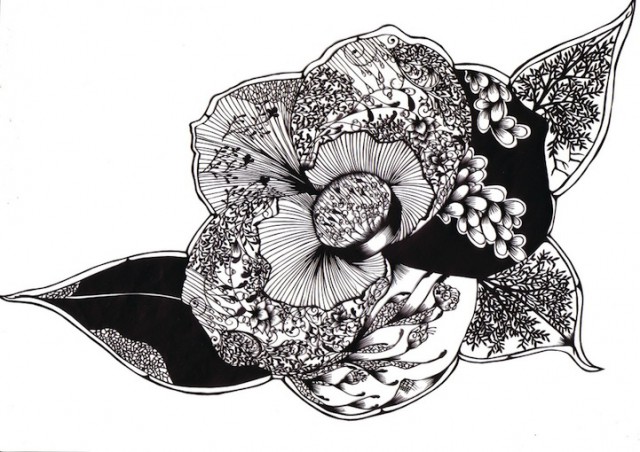 Hina Aoyama 美轮美奂的剪纸艺术
