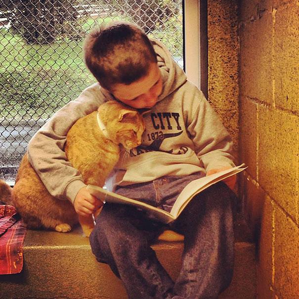 Book Buddies 为流浪猫讲一个温馨的故事