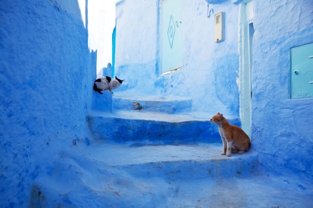 Chefchaouen 情迷摩洛哥蓝色小城