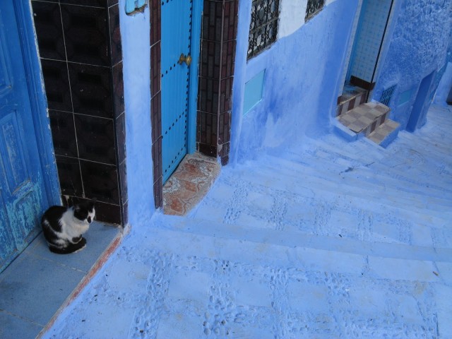 Chefchaouen 情迷摩洛哥蓝色小城