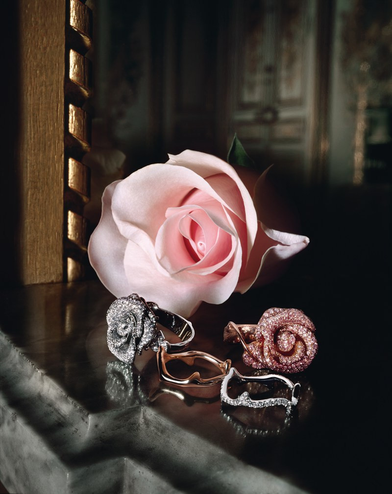 Dior先生的玫瑰之缘